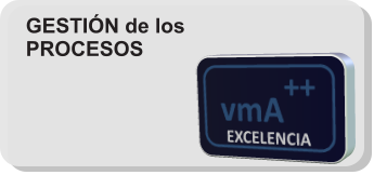 vmA ++   EXCELENCIA GESTIÓN de los PROCESOS